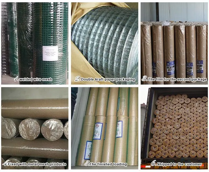 PVC Coated Hot Dipped Solid Iron Galvanized Welded Wire Fence Wire Mesh