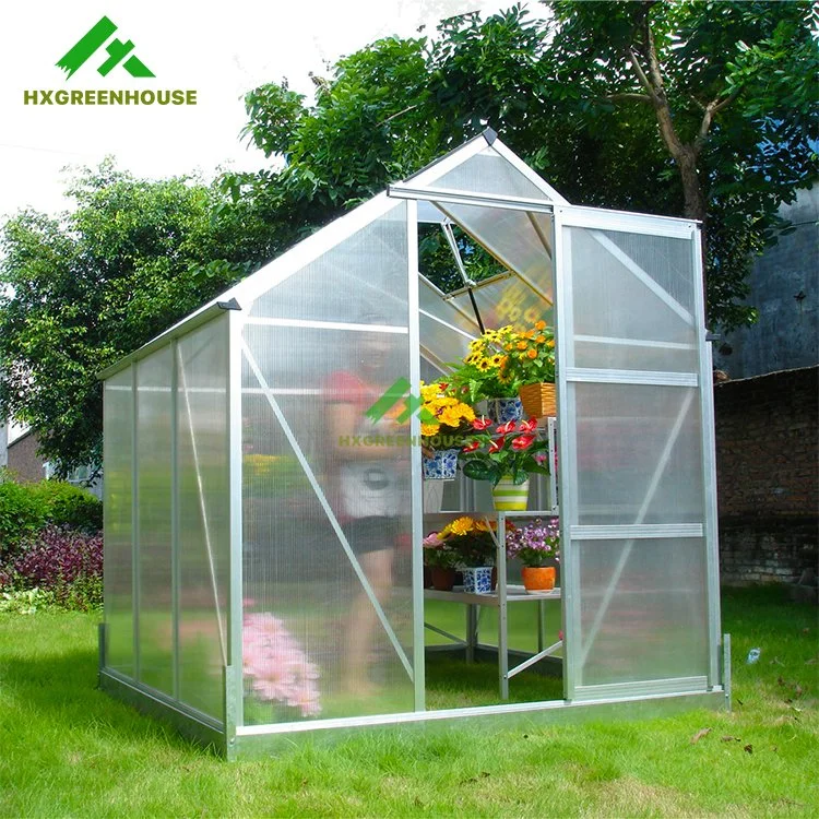 Widely Used Large Garden Green House with Plastic Cover and Green Aluminum Frame Hx65120-1 Series