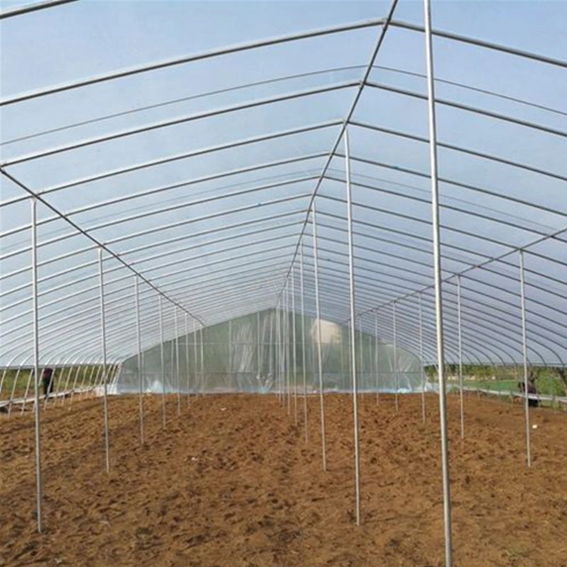 Series Plastic Film Greenhouses for Plants and Flowers