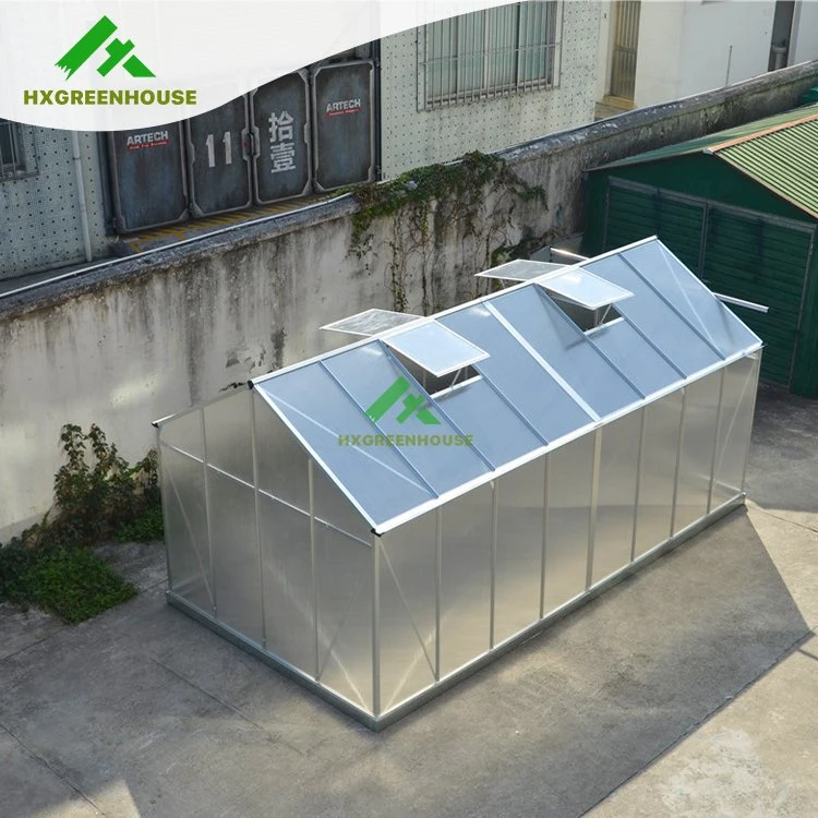 Home Agricultural Green House Hx65120-1 Series Mini Plastic Polycarbonate Film Garden Greenhouse