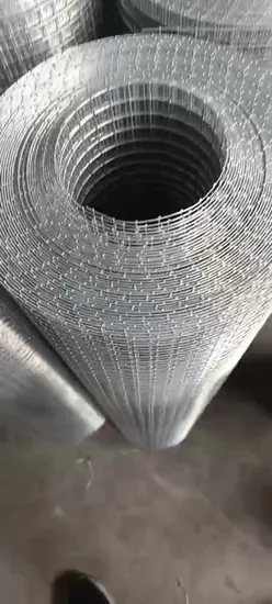 Hot Dipped Galvanized 6 Gauge Welded Iron Wire Mesh Pane 