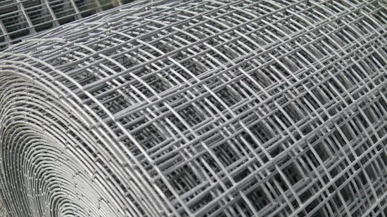 Electro Galvanized Welded Wire Mesh Panels Fencing Security Stainless Steel Iron Wire Mesh 