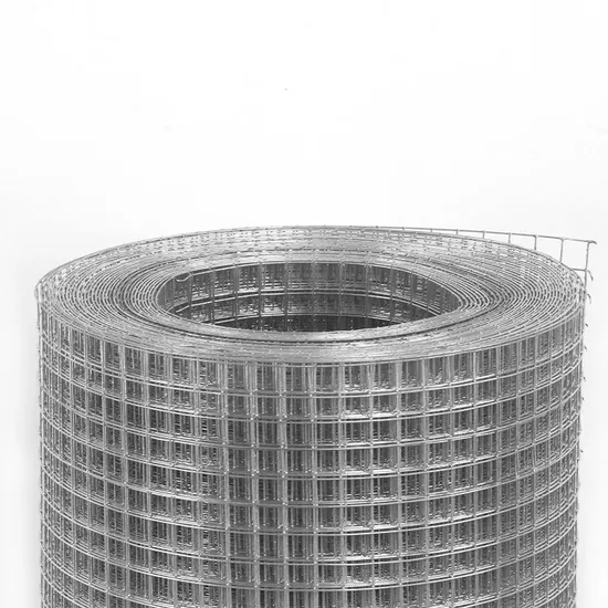 High Quality Hot Dipped Galvanized Fencing Iron Netting 10 Gauge Steel Welded Wire Mesh for Rabbit Bird Animal Pet Cages 