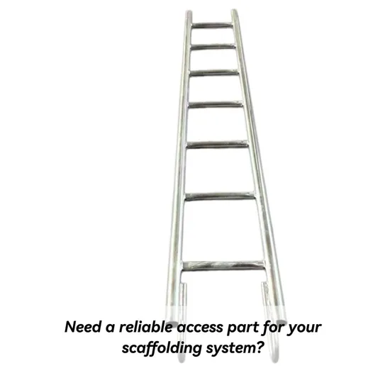 Reliable Bulk Order Scaffold Components Steel Ladder with Ladder Bracket 