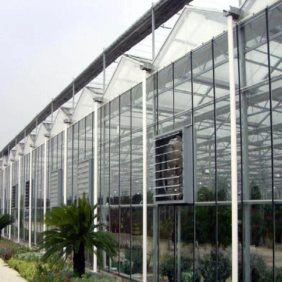Xinhe Series Plastic Film Greenhouse for Garden House