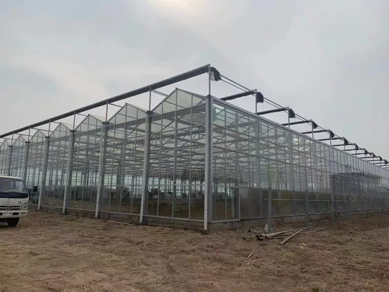 High Quality and Stronger Tetragonal Hobby Greenhouse Tet Series